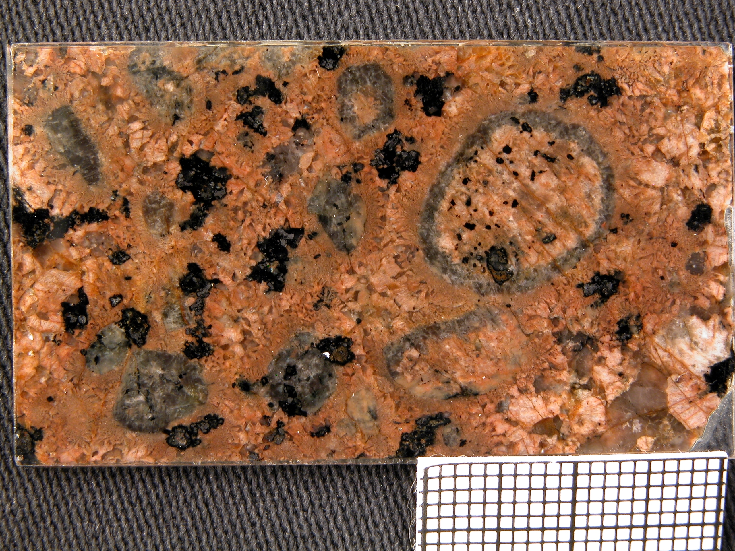 Rapakwi Granit, Ausschnitt