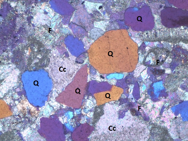 Altenberger Kalkstein, eingelagerte Quarz-Körner und verwachsene Calzit-Kristalle
