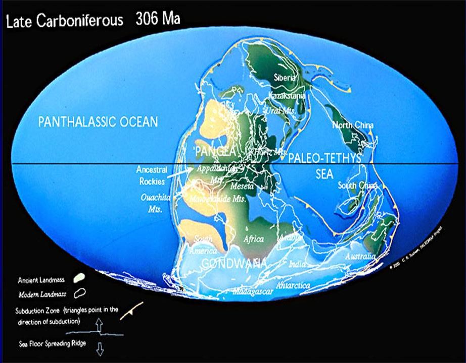 Landmasse-Verteilung vor 306 Mio. Jahren
