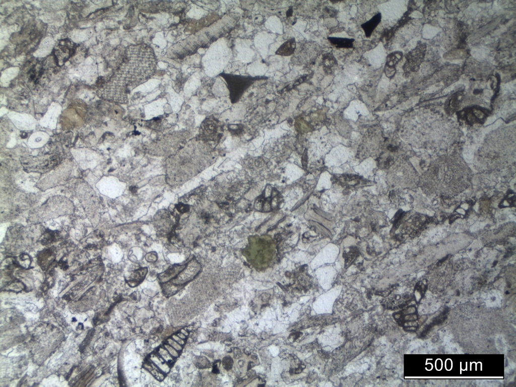 Altenberger Stein, typischen Gesteinsproben Dünnschliffe (Polarisationsmikroskop, ohne Nicols)